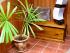 Daintree Cascades Cottage -