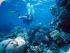 3 Day Ocean Referral -