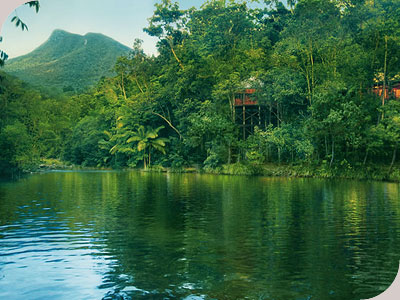 Silky Oaks Lodge - Silky Oaks Lodge