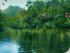 Silky Oaks Lodge - Silky Oaks Lodge