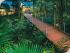Silky Oaks Lodge - Nestled In The Rainforest
