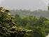 Crocodylus Village - 