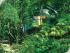 Silky Oaks Lodge - Treehouse Cabin
