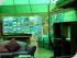 Crocodylus Village - 
