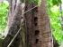 Crocodylus Village - 
