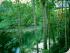 Silky Oaks Lodge - Jungle Perch Lookout