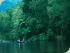 Silky Oaks Lodge - Activities on the Mossman River