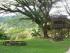 Tranquility on the Daintree - Tree house