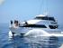 Seastar -