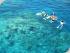 Seastar -