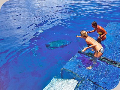 Top Deck Escape - 