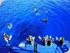 Top Deck Escape -