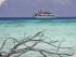 Top Deck Escape -