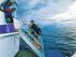 Top Deck Escape -