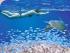 Top Deck Escape -