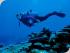 5 Day Open Water - 