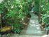 Daintree Wilderness Lodge - 