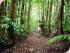 Trek North Daintree Explorer -