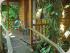 Daintree Wilderness Lodge - 