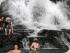 Daintree Dreaming - 