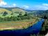 Daintree Dreaming - 