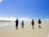 Daintree Dreaming - 
