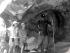1 Day Fly/Fly Cooktown -