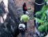 1 Day Fly/Fly Cooktown -