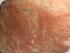 1 Day Fly/Fly Cooktown -