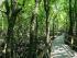 Cooktown 4WD Adventure -