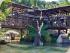 Rainforestation -