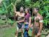 Rainforestation -
