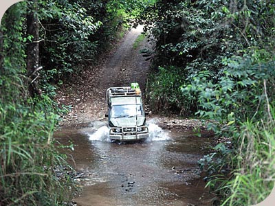 Trek North Cape Tribulation - RIVER CROSSING AT CAPE TRIBULATION
