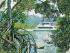 Sunset Cruise - 