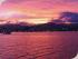 Sunset Cruise - 