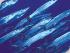 Poseidon Cruises -