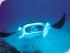 Poseidon Cruises -