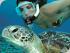 Poseidon Cruises -