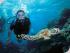 Poseidon Cruises -