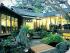Sheraton Mirage Resort -