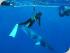 Poseidon Cruises -
