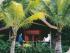 Palm Bungalows - GARDEN BUNGALOW