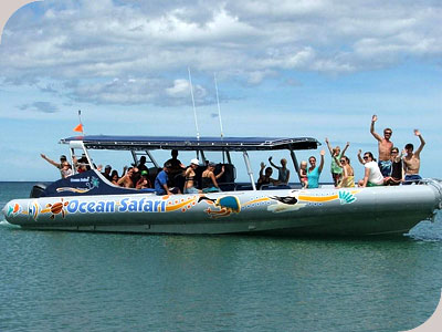 Ocean Safari - 