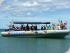 Ocean Safari - 