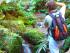 Rainforest 4WD Eco Safari -