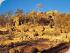 3 Day Self Drive Package -