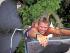 Super Triple Challenge - 