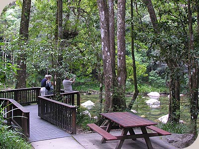 TH- Cape Trib & Daintree - 