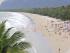Cape Trib & Daintree -