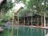 Cape Trib & Daintree -